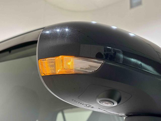 ロッキー プレミアム（49枚目）