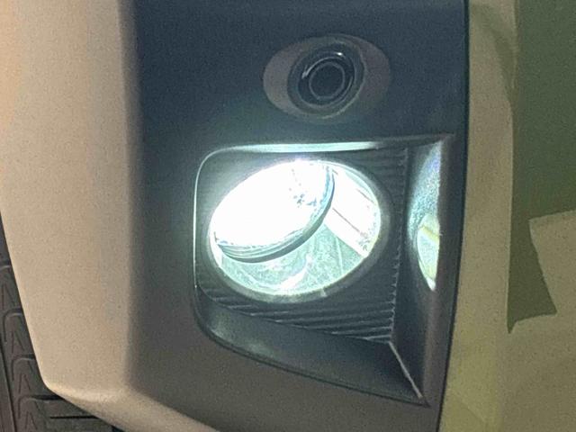 タフト Ｇ（46枚目）