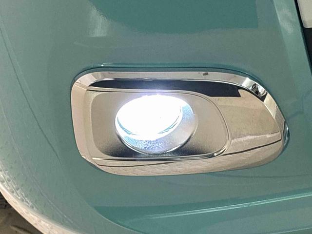 ムーヴキャンバス ストライプスＧ（46枚目）