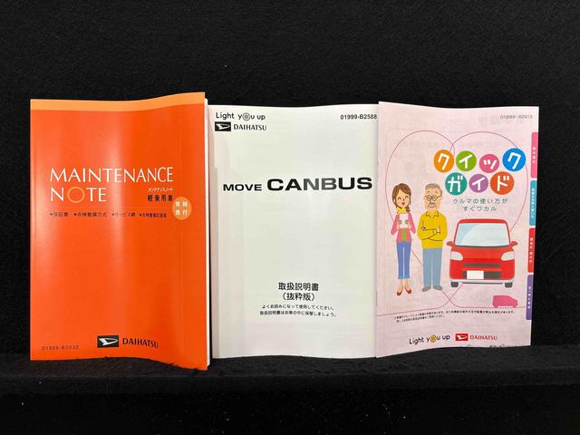 ムーヴキャンバス ストライプスＧ（50枚目）