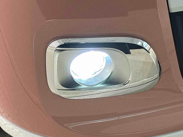 ムーヴキャンバス ストライプスＧ（46枚目）