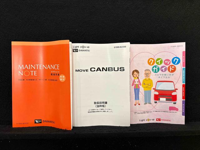 ムーヴキャンバス ストライプスＧ（50枚目）