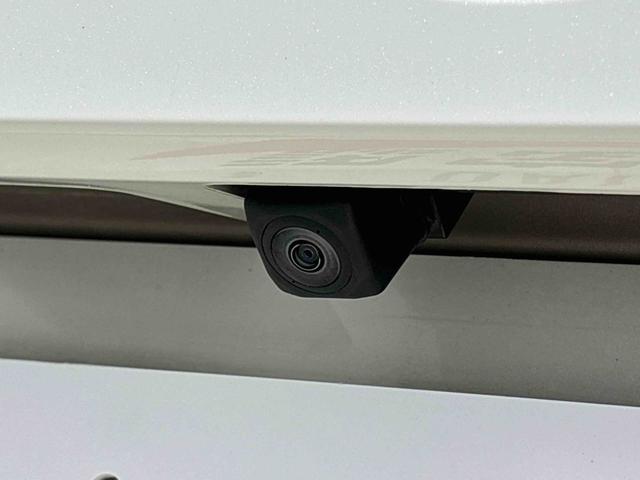 ムーヴキャンバス Gメイクアップリミテッド SAIII(10枚目)