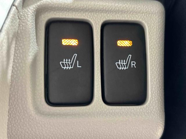 キャスト スタイルＧ　ＶＳ　ＳＡＩＩＩ　パノラマカメラ　ツートンカラー（27枚目）