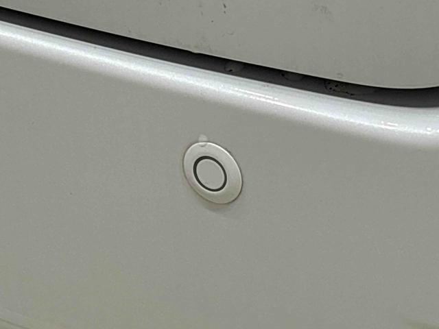 キャスト スタイルＧ　ＶＳ　ＳＡＩＩＩ　パノラマカメラ　ツートンカラー（43枚目）