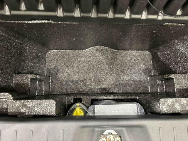 キャスト スタイルＧ　ＶＳ　ＳＡＩＩＩ　パノラマカメラ　ツートンカラー（45枚目）