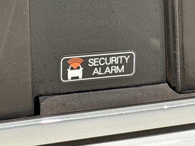 キャスト スタイルＧ　ＶＳ　ＳＡＩＩＩ　パノラマカメラ　ツートンカラー（46枚目）