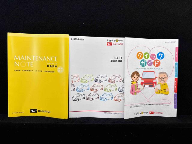 キャスト スタイルＧ　ＶＳ　ＳＡＩＩＩ　パノラマカメラ　ツートンカラー（55枚目）