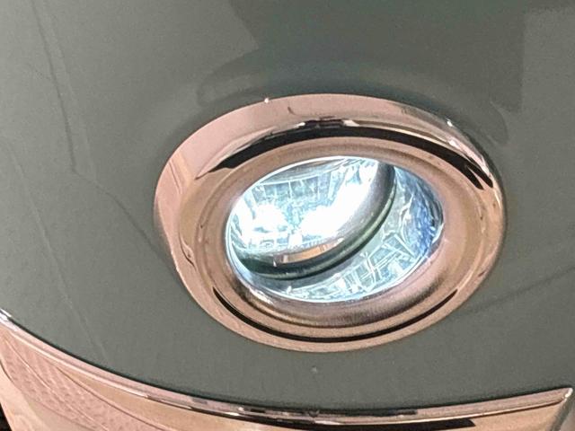 ムーヴキャンバス Ｘメイクアップリミテッド　ＳＡＩＩＩ　ハロゲンライト　ＬＥＤフォグランプ　オートライト　プッシュボタンスタート　セキュリティアラーム　パノラマモニター対応カメラ　両側パワースライドドア　７インチナビ　パノラマモニター　ドライブレコーダ（52枚目）