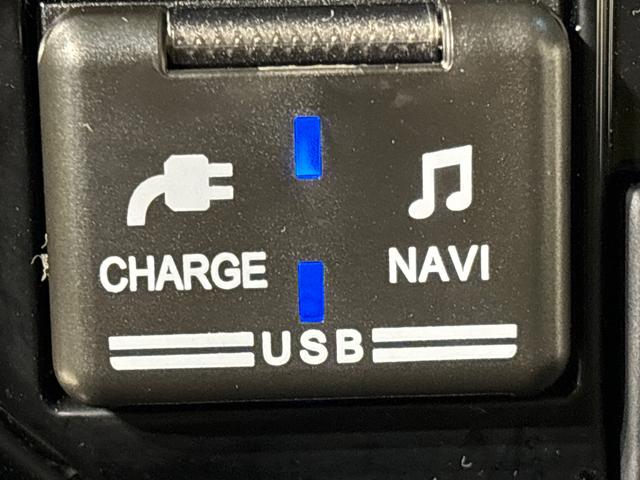 �f�B���[�I�v�V�����̃C���~�l�[�V�����t���t�r�a�A�_�v�^�[�͊O���@��ƃi�r�Q�[�V�����ւ̐ڑ��p�Ə[�d�p�̂Q�������B