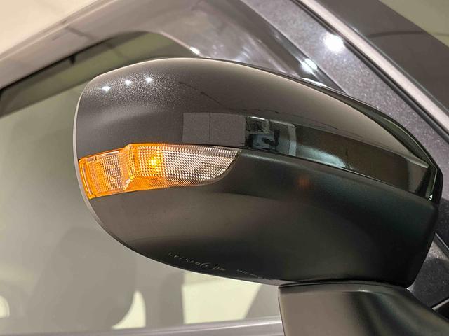 �^�[�������v�t���h�A�~���[�@�E���܎���n�U�[�h�����v�_�Ŏ��ɁA���̃h���C�o�[����s�҂���̎��F���������Ȃ�~���[�ł���