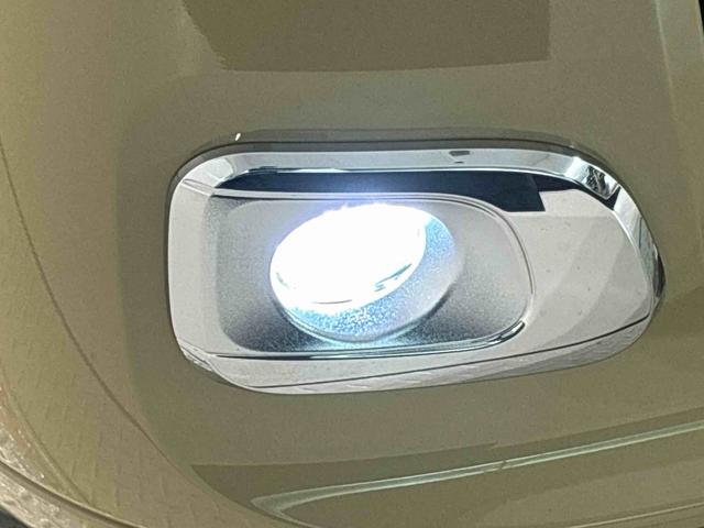 �k�d�c�t�H�O�����v�@�k�d�c�̖��邢�������̔����∫�V�󎞂Ɏ��E�m�ۂ��T�|�[�g���܂��I