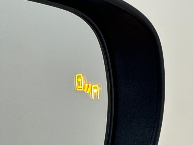 �אڂ���Ԑ��̎��i�̈�𑖂�ԗ������m���ē_������u���C���h�X�|�b�g���j�^�[