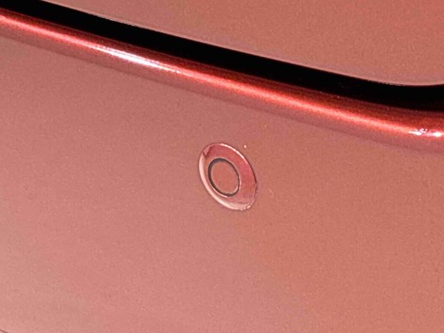 キャスト スタイルX SAIII マルチリフレクターハロゲンヘッドランプ フルホイールキャップ オートライト プッシュボタンスタート セキュリティアラーム 電動格納式ドアミラー(37枚目)