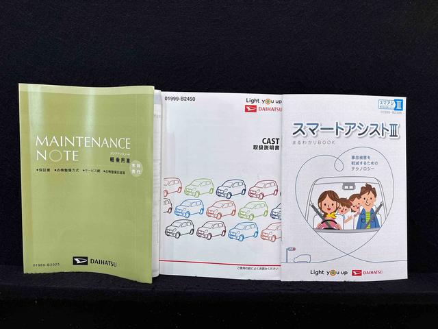 キャスト スタイルX SAIII マルチリフレクターハロゲンヘッドランプ フルホイールキャップ オートライト プッシュボタンスタート セキュリティアラーム 電動格納式ドアミラー(48枚目)