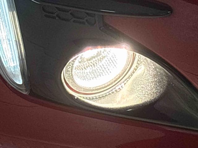 �t�H�O�����v