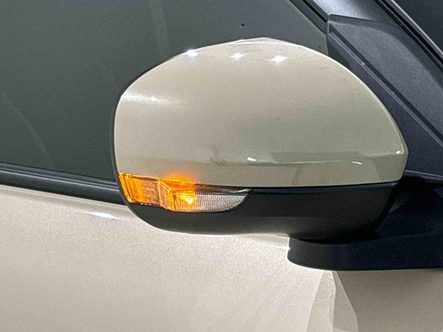 �^�[�������v�t���h�A�~���[�@�E���܎���n�U�[�h�����v�_�Ŏ��ɁA���̃h���C�o�[����s�҂���̎��F���������Ȃ�~���[�ł���