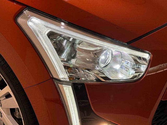 �k�d�c�w�b�h���C�g