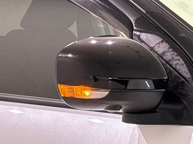 �^�[�������v�t���h�A�~���[�@�E���܎���n�U�[�h�����v�_�Ŏ��ɁA���̃h���C�o�[����s�҂���̎��F���������Ȃ�~���[�ł���