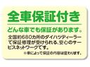 Ｇ・Ｌパッケージ　　　プッシュボタンスタートシステム　プッシュボタンスタート　電動格納ミラー　シートリフター　ターンランプ付きドアミラー　オートエアコン　オートライト　ショッピングフック(41枚目)