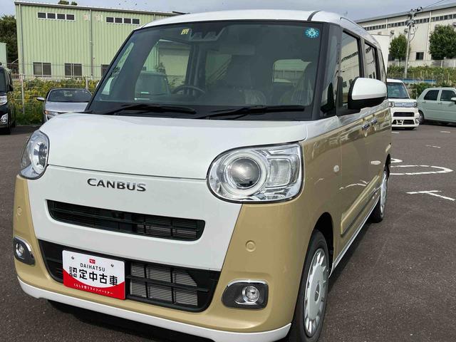 ムーヴキャンバス ストライプスＧ（2枚目）