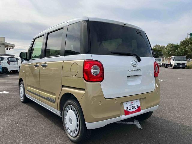 ムーヴキャンバス ストライプスＧ（11枚目）