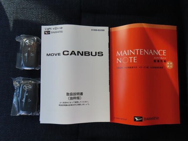 ムーヴキャンバス セオリーＧ（76枚目）