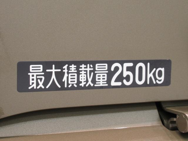 ハイゼットカーゴ デッキバンＧ　両側スライドドア　オートライト　キーフリー　アイドリングストップ　電動格納式ドアミラー　衝突被害軽減システム　レーンアシスト　オートマチックハイビーム　ティーゼットデオプラス（30枚目）