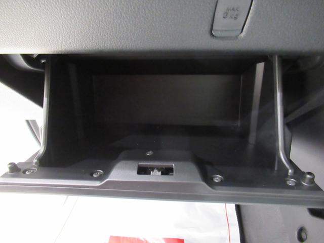 ハイゼットトラック スタンダード AM/FMラジオ オートライト アイドリングストップ 衝突被害軽減システム レーンアシスト オートマチックハイビーム ティーゼットデオプラス(23枚目)