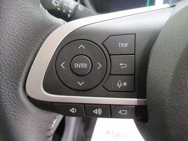 ロッキー プレミアム シートヒーター オートライト キーフリー アイドリングストップ パノラマモニター ディスプレイオーディオ USB入力端子 Bluetooth 電動パーキングブレーキ ティーゼットデオプラス(23枚目)