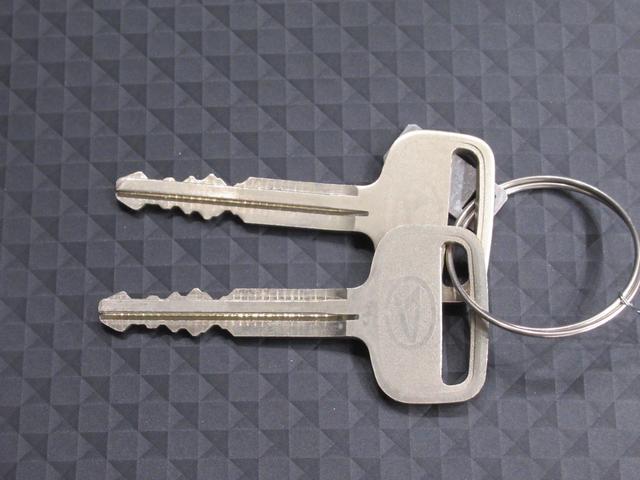 ハイゼットトラック ジャンボスタンダード　４ＷＤ　ＡＭ／ＦＭラジオ　オートライト　アイドリングストップ　衝突被害軽減システム　レーンアシスト　オートマチックハイビーム　ティーゼットデオプラス（43枚目）