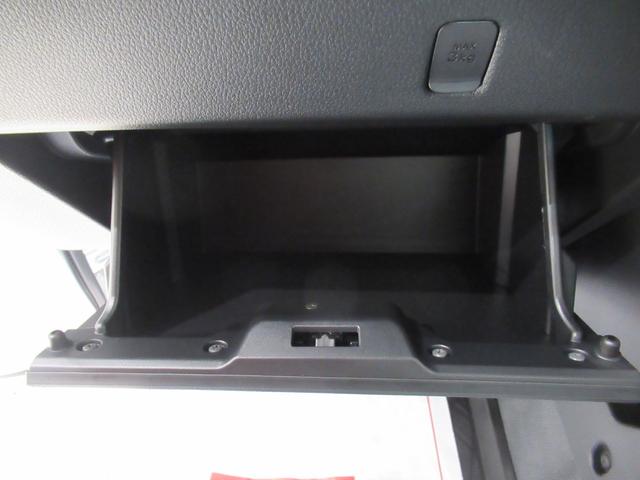 ハイゼットトラック スタンダード 4WD AM/FMラジオ オートライト アイドリングストップ 衝突被害軽減システム レーンアシスト オートマチックハイビーム ティーゼットデオプラス(24枚目)