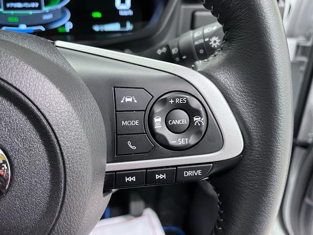 �܂����Ԃ��w�����Ɍ��X�̂��x�����̕��S���y���Ȃ�u�����_�t���N���W�b�g�v������ϐl�C�ł��B