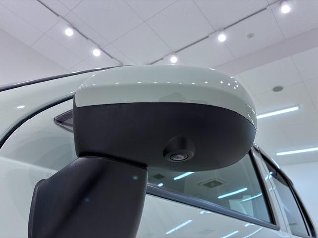 �y�����c�Ƃ��Ă���܂��B���d�������x�݂̓��ɂ��Ƒ��������ł��z�����������B�i�v�d�a�W���ꉪ�R�͒ʏ�̓X�܂ł͂������܂���̂ł����ӂ��������B�j