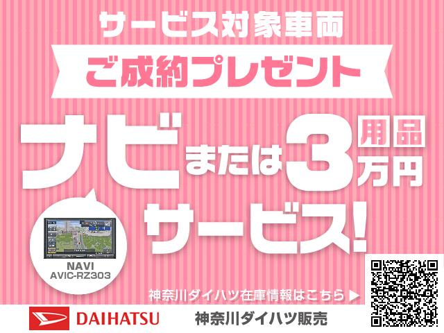 L SAIII(2枚目)