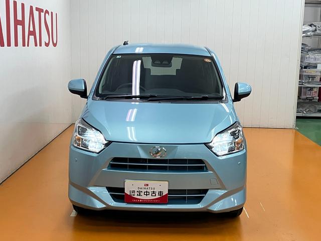 精悍なフロントマスク