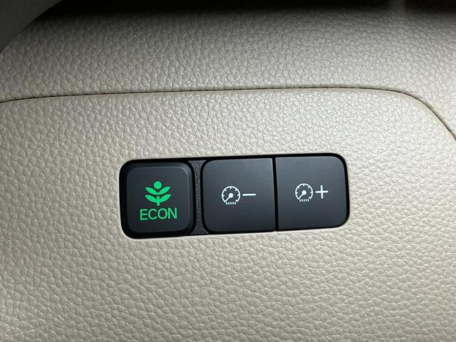 Ｎ－ＢＯＸ Ｇ・Ｌホンダセンシング（19枚目）