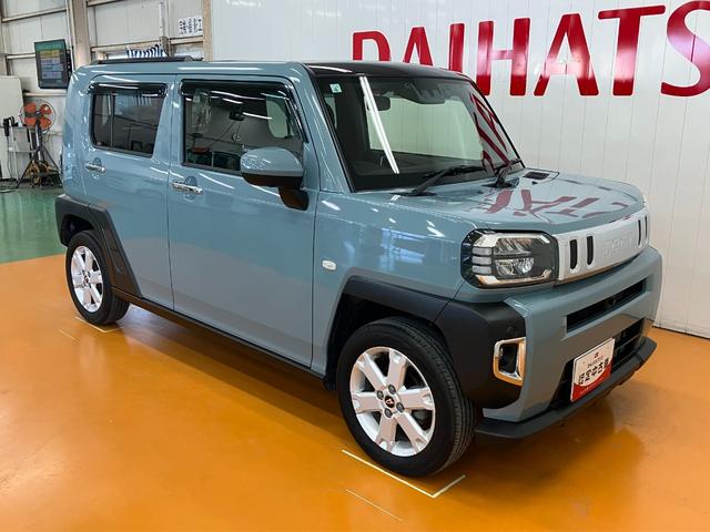 �E�O����