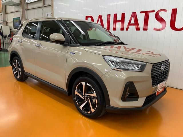 �E�O����