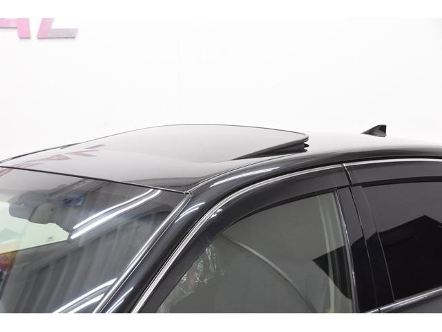 �T�����[�t�t���Ă܂���