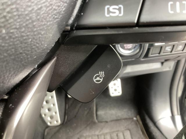 フォレスター プレミアム メモリーナビ バックカメラ 電動シート ドライブレコーダー前後 衝突被害軽減ブレーキ 後側方車両検知警報システム レーダークルーズコントロール デジタルルームミラー ルーフレール スマートキー(52枚目)