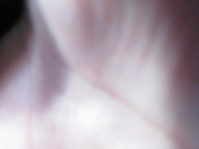 パレットSW XS 左側オートスライドドア ETC バックカメラ ディスチャージヘッドライト フォグ ユーザー様買取(31枚目)