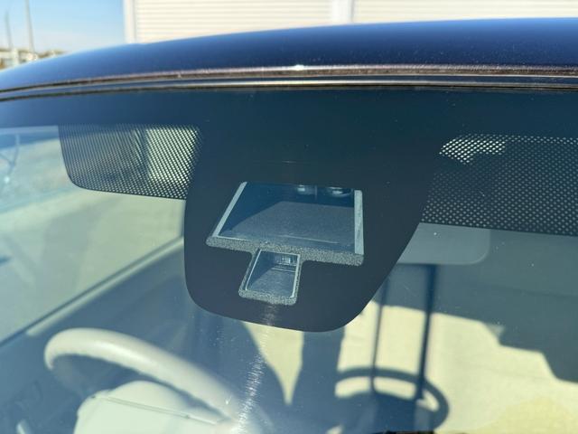 アルトラパン L(46枚目)