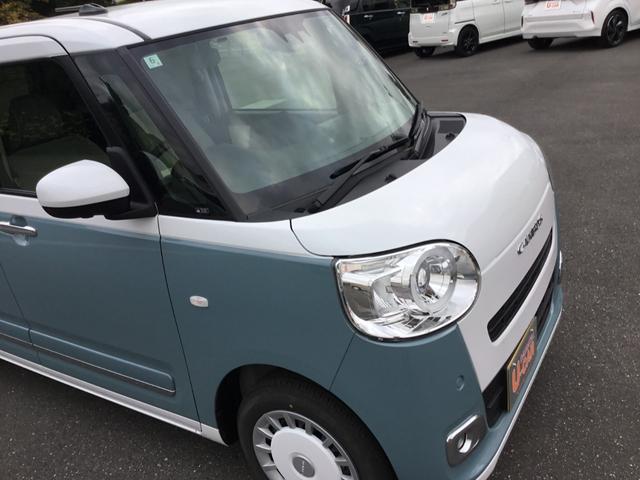 ムーヴキャンバス ストライプスＧ（14枚目）