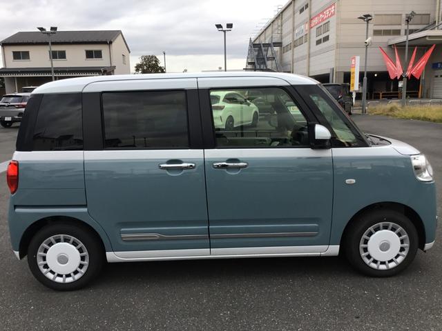 ムーヴキャンバス ストライプスＧ（15枚目）