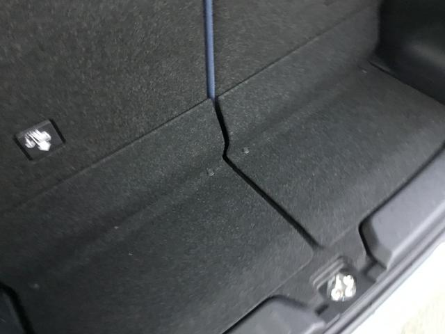 ムーヴキャンバス ストライプスＧ（36枚目）