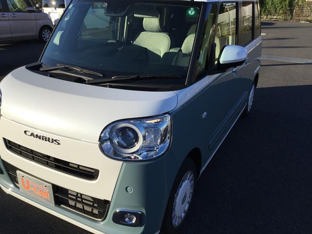 ムーヴキャンバス ストライプスＧ（7枚目）