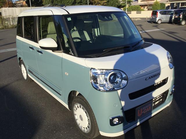 ムーヴキャンバス ストライプスＧ（12枚目）