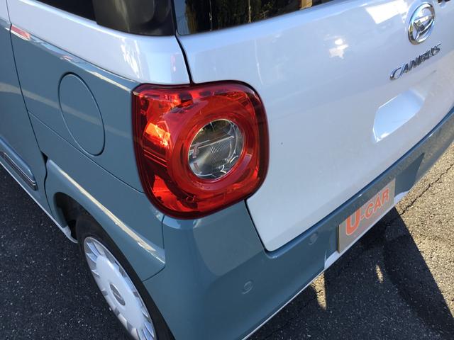 ムーヴキャンバス ストライプスＧ（30枚目）