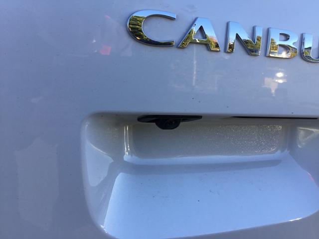 ムーヴキャンバス ストライプスＧ（36枚目）